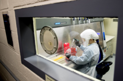 Вчені спростували високу смертність від британського штаму Covid-19