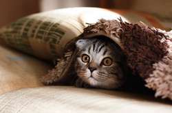 Відключення опалення в Києві. Скільки будинків уже без тепла