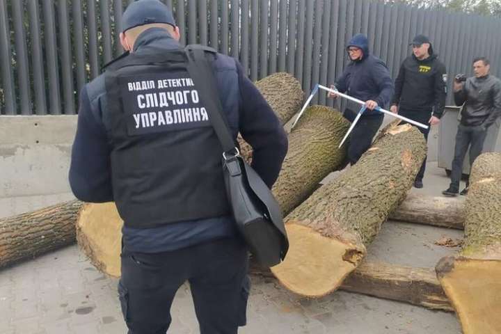 На Вінниччині затримали злочинну групу за незаконне вирубування лісу