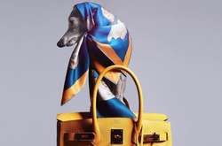 Собака-модница украсила обложку фешн-журнала. Ее чувству стиля можно позавидовать (фото)