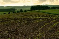 В Украине хотят отменить право постоянного пользования земельными участками