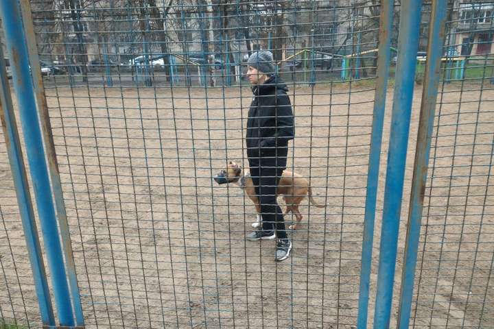 На Київщині собака бійцівської породи напав на дитину (фото)