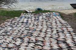 Під Києвом браконьєр виловив понад 200 кг риби (фото)