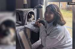 В США кошка преодолела 7 тысяч километров ради встречи с хозяйкой