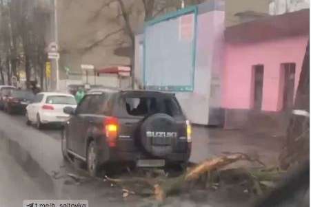 Повалені дерева, пошкоджені машини, вітер і град: Харків накрила потужна злива (відео)