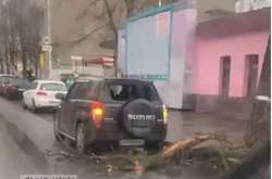 Повалені дерева, пошкоджені машини, вітер і град: Харків накрила потужна злива (відео)
