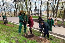 Толока під час карантину. Як прибирали та озеленювали столицю (фото)