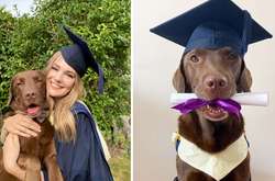 Псу устроили выпускной, чтобы он не чувствовал себя частью семьи (фото)