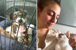 Курьезные фото питомцев из приюта, которые нашли дом и семью