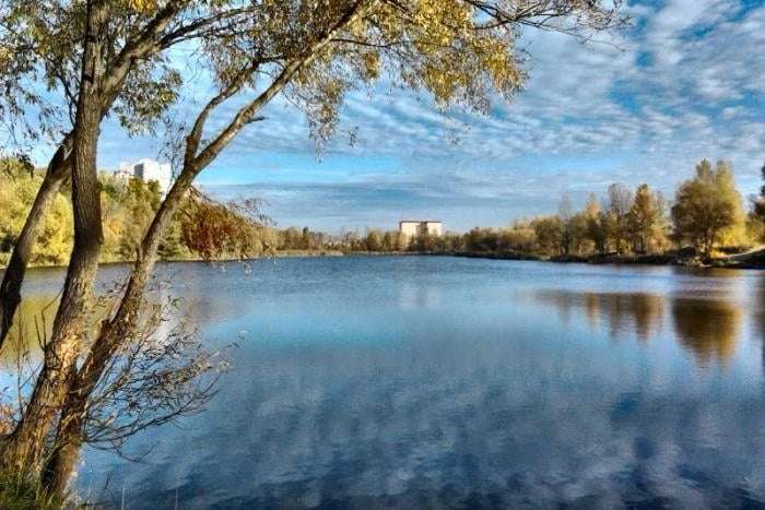 У Києві судитимуть бізнесменшу, яка захопила землю біля озера