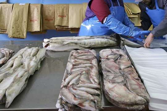 Китайські митники виявили коронавірус на рибі з російського судна