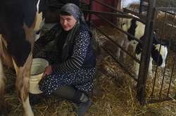 Ексдепутатка біля корів – Надія Савченко показала, чим займається після відходу від великої політики