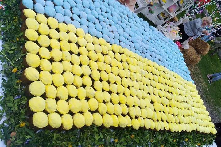 У Холодному Яру виклали найбільший прапор України із пасок
