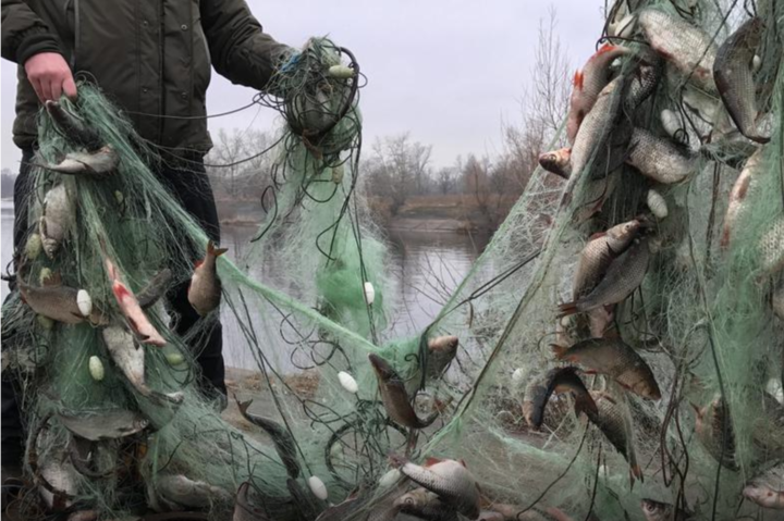 На Полтавщині побили журналіста, який фіксував браконьєрів-рибалок