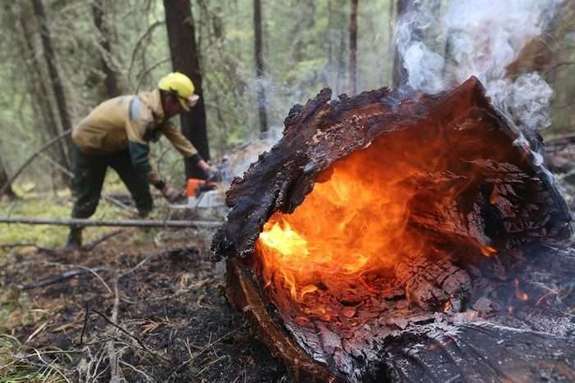 В Україні оголошено пожежну небезпеку: рятувальники назвали найнебезпечніші регіони 