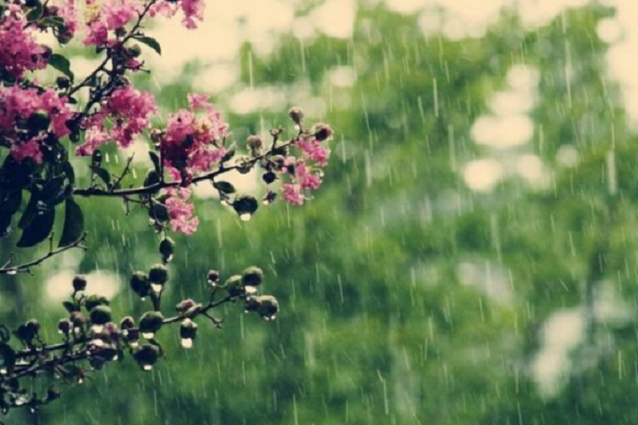 Україну накриють дощі: прогноз погоди на 7 травня