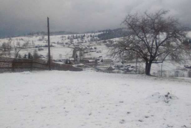 У селі на Івано-Франківщині 8 травня випав сніг