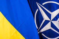Вступ до НАТО й імпорт струму з Росії несумісні, – ексглава МЗС