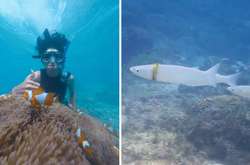 Дайвер нашла на глубине обручальное кольцо, которое носила маленькая рыбка