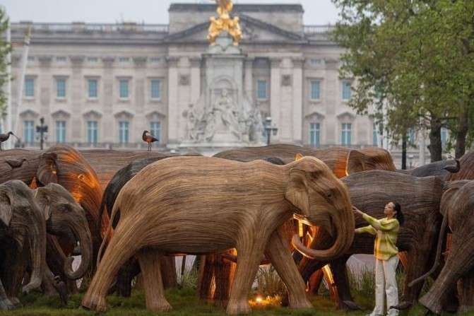 Активісти встановили біля Букінгемського палацу 125 дерев’яних слонів
