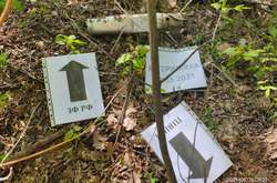  Щодо порушень на лінії розведення поінформована моніторингова група ОБСЄ 