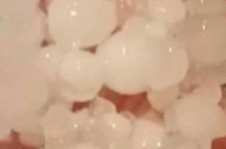 В Запорожской области огромный град побил фруктовые деревья (видео)