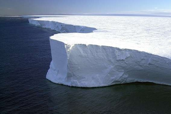 От Антарктиды откололся самый большой в мире айсберг - Главком