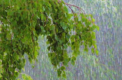 Синоптики попередили про похолодання. В Україну повертаються дощі з грозами