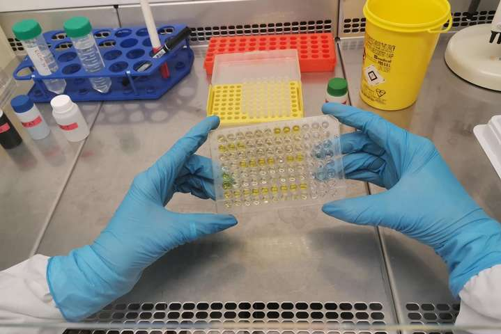 Тест-системы упрощают процедуру определения мутаций коронавируса - Украина получила тесты для подтверждения «индийского» штамма коронавируса