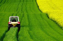 З 1 липня, за прогнозами уряду, в Україні має запрацювати повноцінний ринок землі