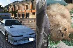 Японец продал машину, чтобы вылечить свою любимую кошку
