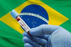 Бразильські вірусологи заявили про новий різновид коронавірусу