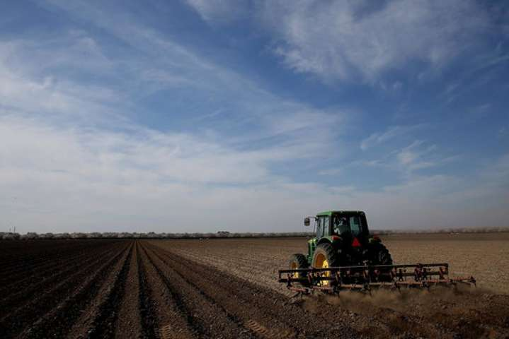 Министр агрополитики объяснил, как в Украине будет работать рынок земли
