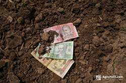  Швидкого ефекту від запуску ринку землі чекати не варто, каже міністр аграрної політики 