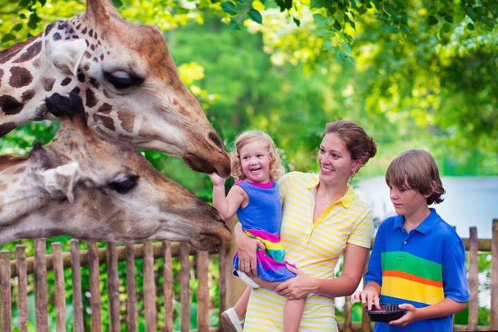 3333 квитки в зоопарк: німецький пенсіонер щедро потішив дітей