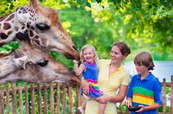 3333 квитки в зоопарк: німецький пенсіонер щедро потішив дітей