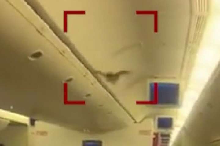 Індійський літак довелося терміново посадити через кажана на борту