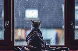  Первый летний день в Украине будет пасмурным 