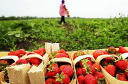 Польша облегчит иностранцам поиск работы