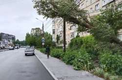 Негода повиривала дерева з корінням та залила південні регіони України