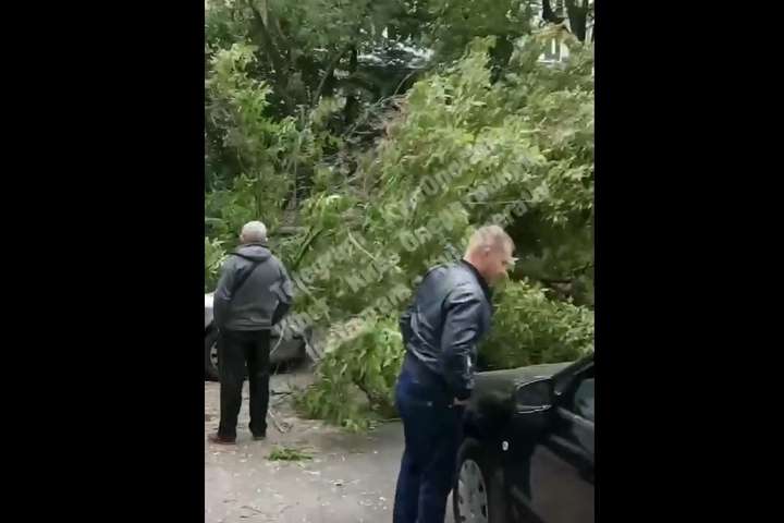 Ураганний вітер повалив дерево в центрі Києва, наробивши шкоди (відео)
