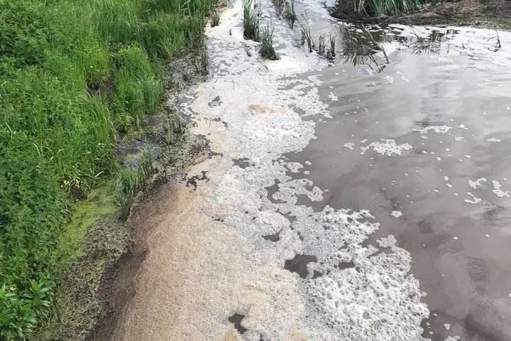 Екокатастрофа під Києвом: у річці з коричневою водою вимерла риба (фото)