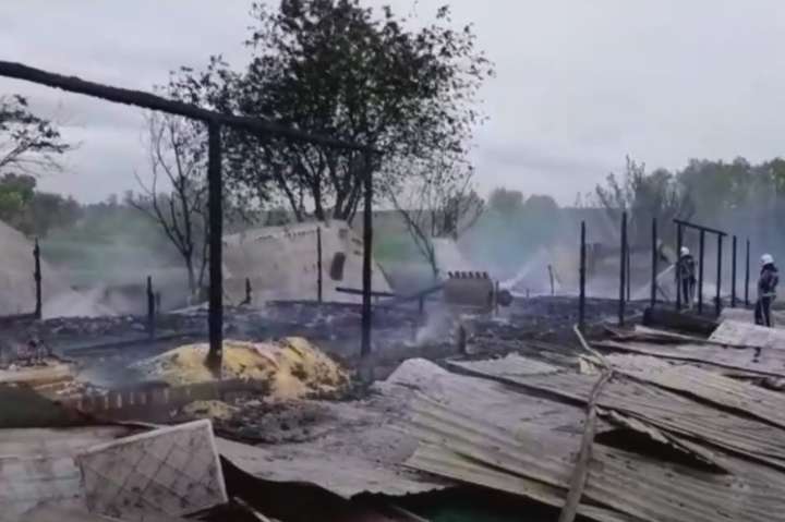 На Київщині в пожежі згоріли дві тисячі курей (відео)