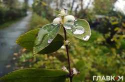 В Україні буде вітряна та дощова погода: прогноз на 3 червня