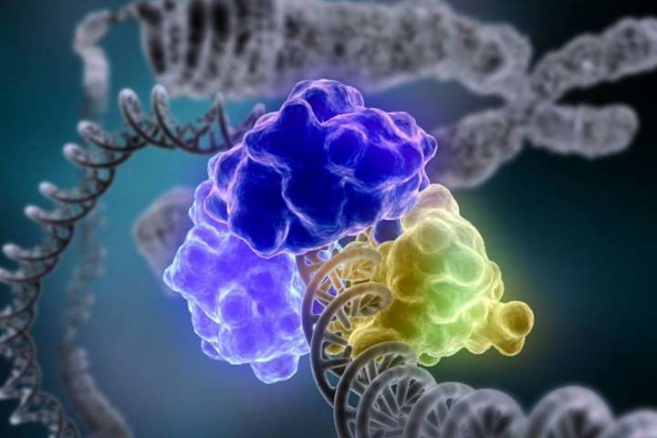 Науковий прорив: учені повністю розшифрували геном людини 