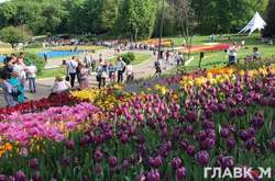 Сімейний вікенд у центрі столиці: киян запрошують на фестиваль (програма)