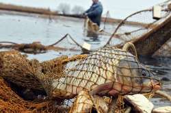 В Украине изменят правила рыболовства: сколько позволят ловить