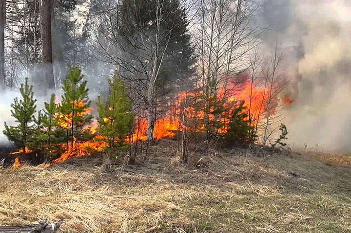 Рятувальники попередили про надзвичайну пожежу небезпеку