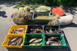 Під час обшуку вилучено сітки, виловлену рибу