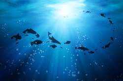 Географи визнали існування п'ятого океану